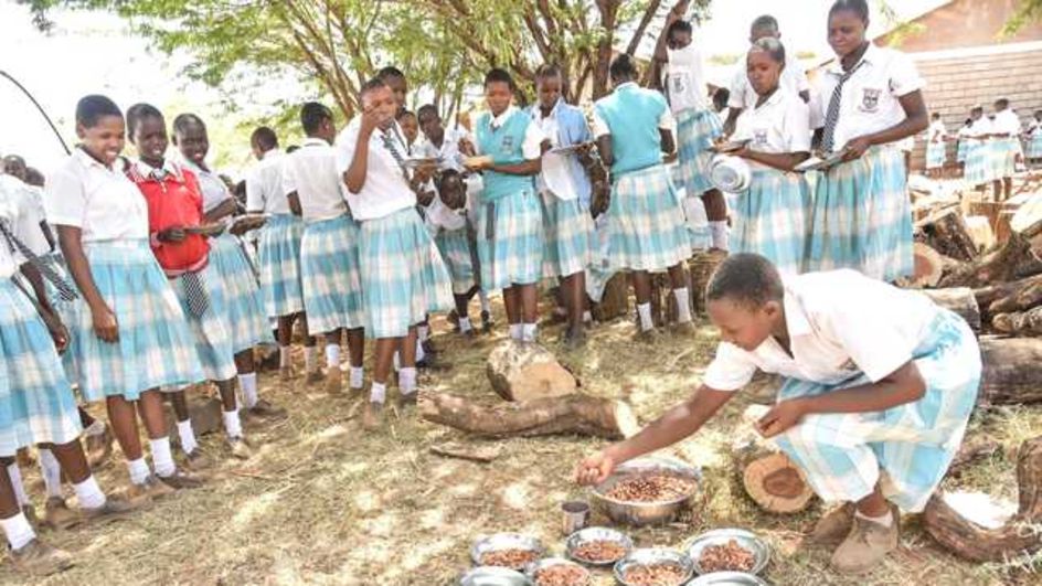 Food worth millions of shillings risk decaying in schools