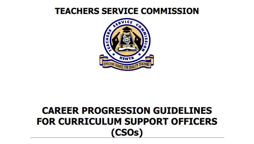 Curriculum Support Officers (CSO's) responsibilities and requirements for appointment