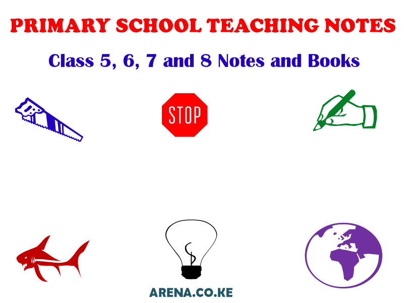 Free Primary School Revision Notes