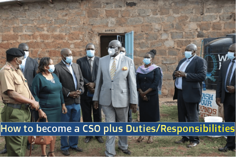 Guidelines to be appointed a Curriculum Support Officer (CSO)