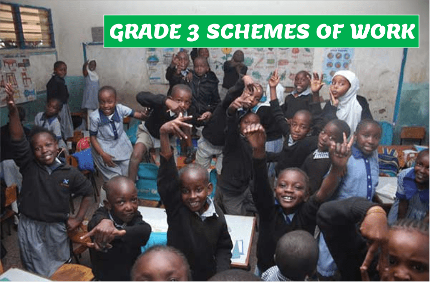schemes of work for grade 3 term 1