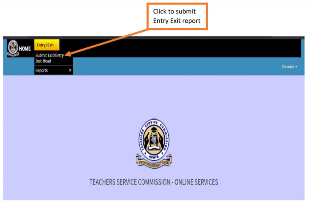 TSC online Entry/Exit user manual (Online Casualty guide)