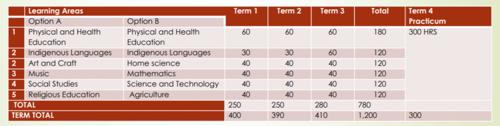 Diploma upgrading for P1 and ECDE teachers outlined