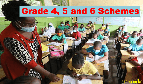 Free Grade 4, 5 and 6 Term 2 Schemes of Work