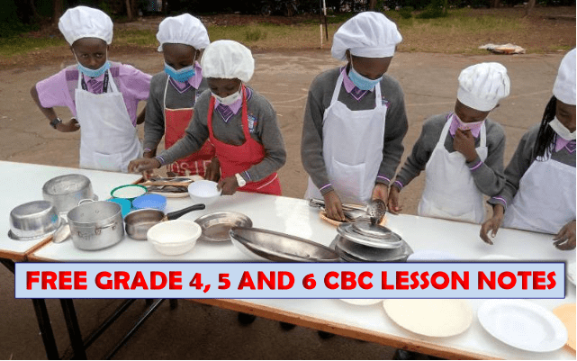 Free Grade 4, 5 and 6 CBC Lesson Notes