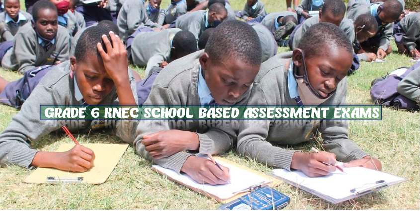 Grade 6 Knec Exams And Marking Schemes School Based Assessment