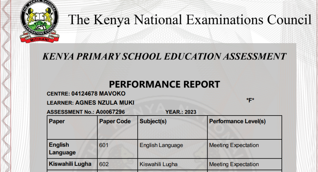 Knec releases 2023 KPSEA results, schools to download reports