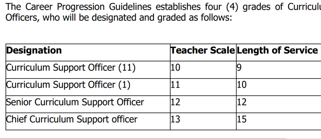 Duties and responsibilities of a Curriculum Support Officer (CSO)