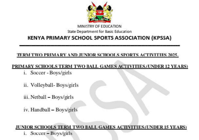 Primary and Junior schools list of term 2 ball games activities